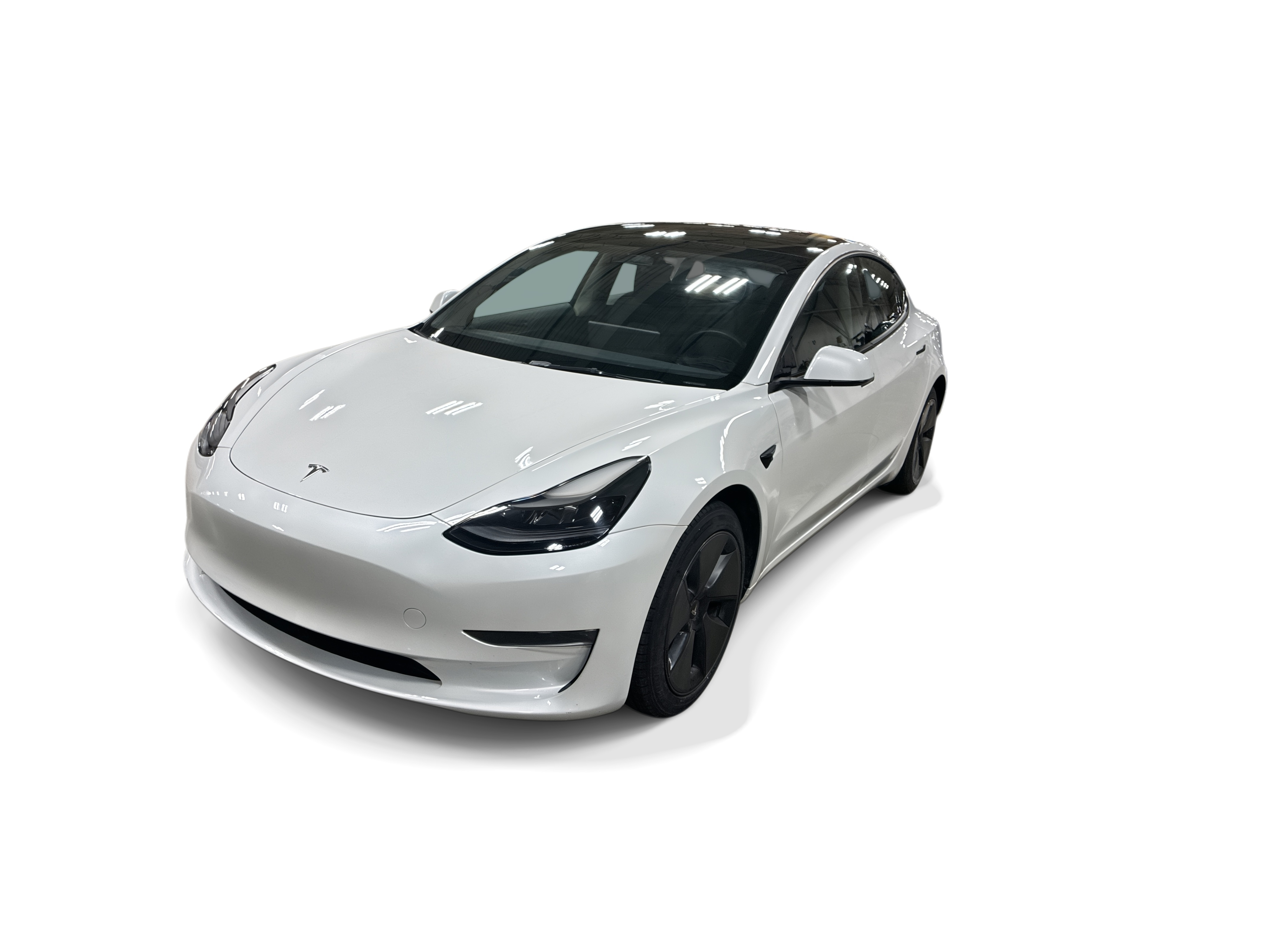 tesla model 3 2023 5YJ3E1EA5PF568715 image tesla model 3 2023 5YJ3E1EA5PF568715 image